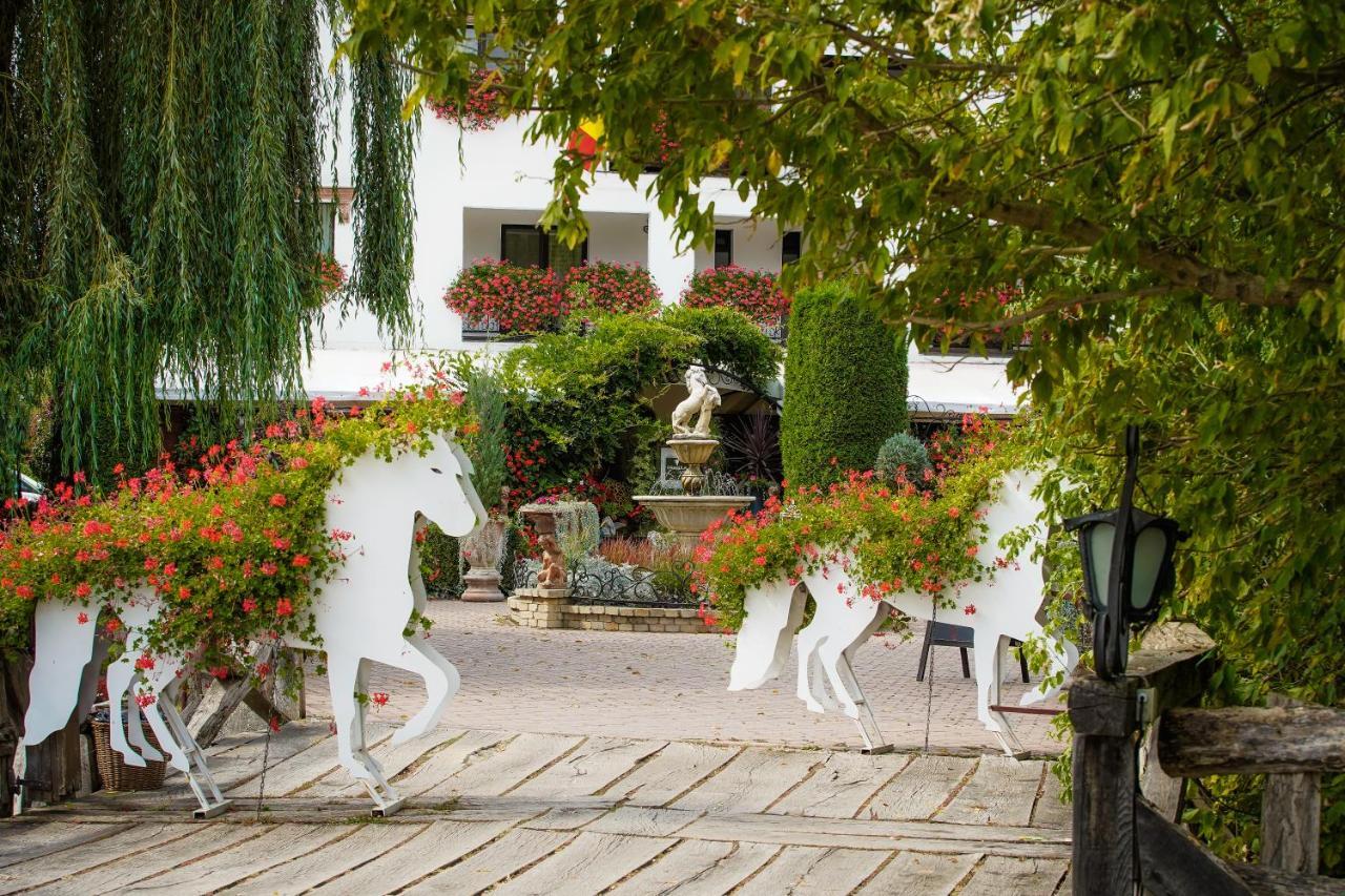 Domeniul Dracula Danes Hotell Eksteriør bilde